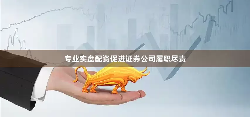 专业实盘配资促进证券公司履职尽责