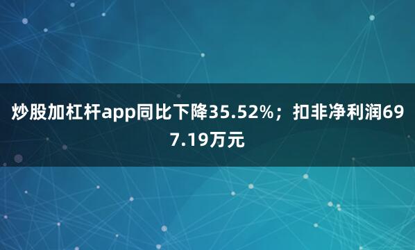 炒股加杠杆app同比下降35.52%；扣非净利润697.19万元