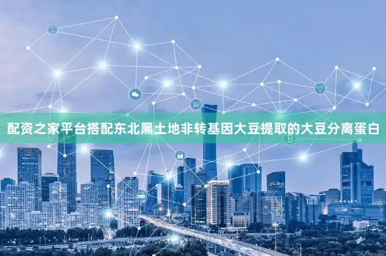 配资之家平台搭配东北黑土地非转基因大豆提取的大豆分离蛋白
