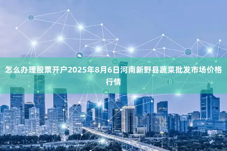怎么办理股票开户2025年8月6日河南新野县蔬菜批发市场价格行情