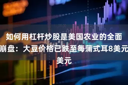 如何用杠杆炒股是美国农业的全面崩盘：大豆价格已跌至每蒲式耳8美元