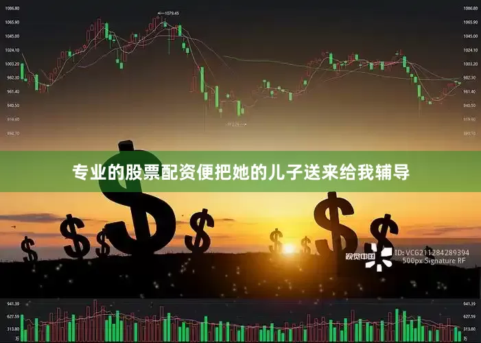 专业的股票配资便把她的儿子送来给我辅导